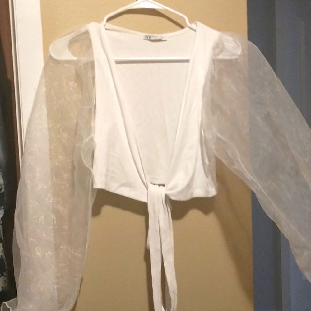 Zara crop top